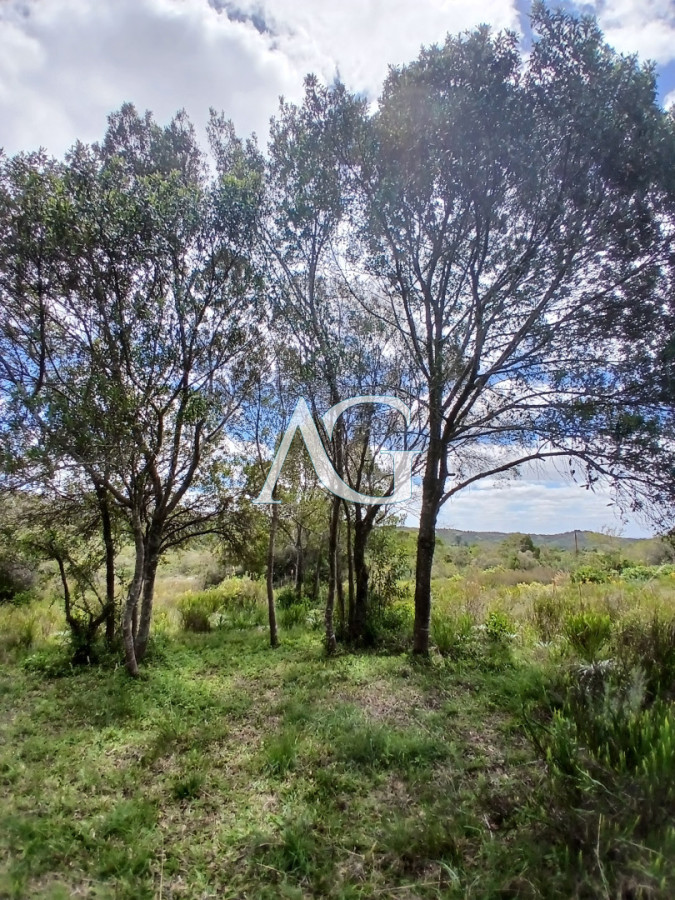 Chacra ID.750 - VENTA CHACRA CERRO CATEDRAL