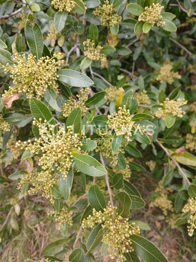 Chacra ID.180 - VENTA CHACRA