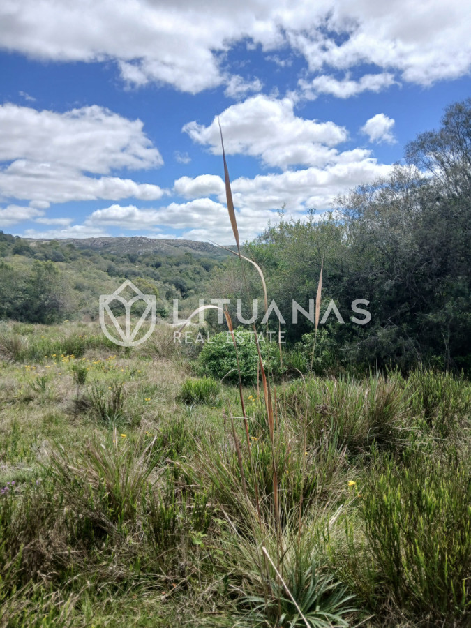 Chacra ID.180 - VENTA CHACRA