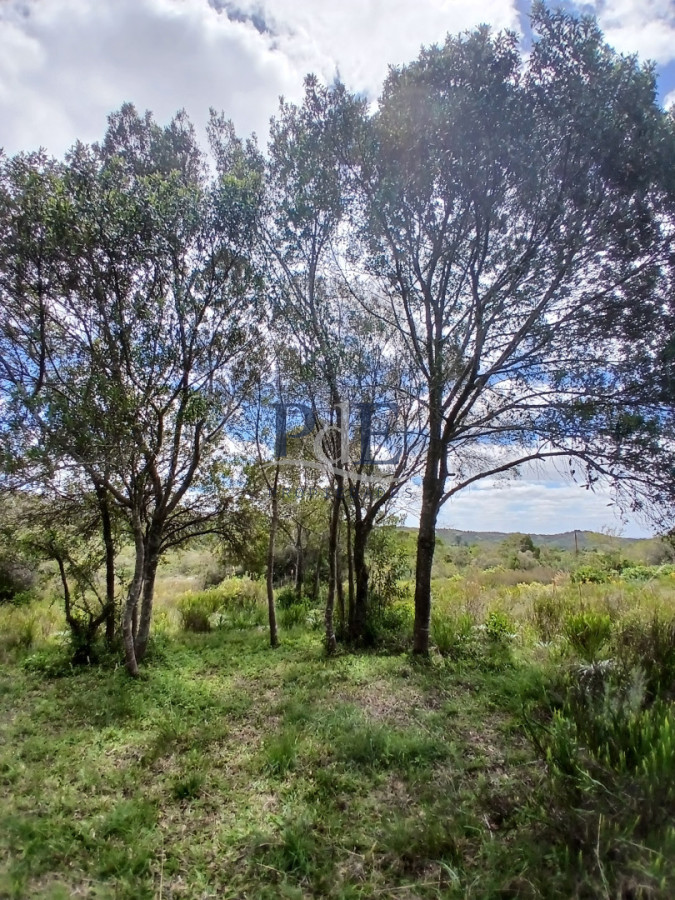 Chacra en Aiguá, Punta del Este. terreno de 6 m² - Imagen 6