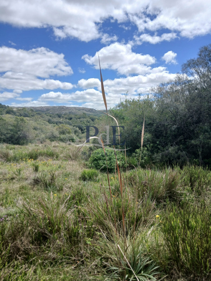 Chacra en Aiguá, Punta del Este. terreno de 6 m² - Imagen 4