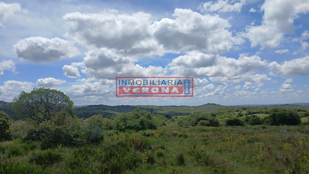 VENTA CHACRA - IVP9473H