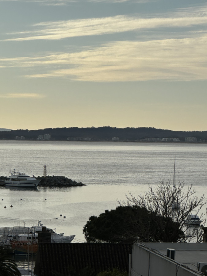 torre van gogh en exclusiva 