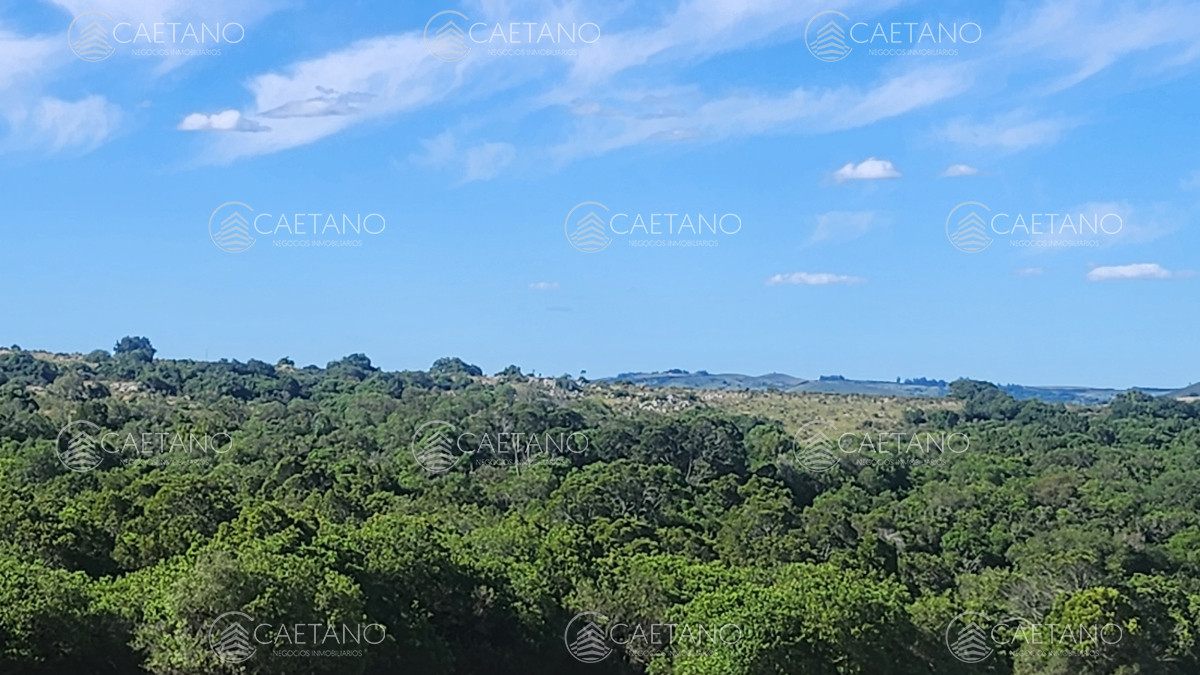 Campo 60 hs en Pueblo Edén Ruta 12 - GoPunta - Portal Inmobiliario de Punta del Este - Maldonado