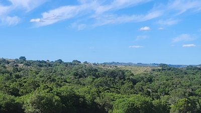 Campo 60 hs en Pueblo Edén Ruta 12