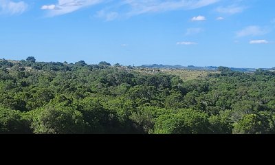 Campo 60 hs en Pueblo Edén Ruta 12