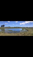 Campo en venta en Pueblo Edén
