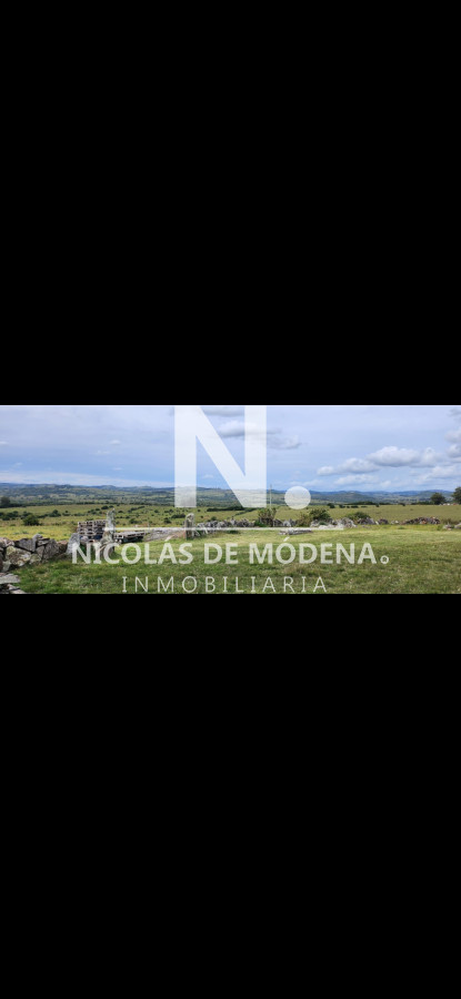 Campo