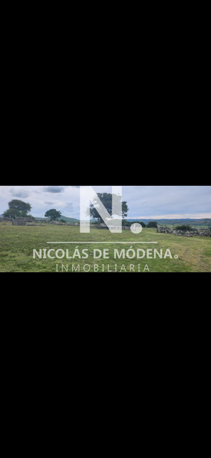 Campo