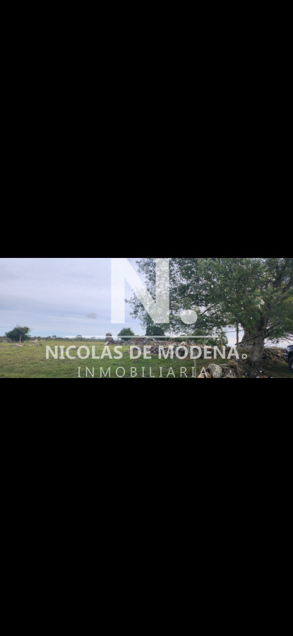 Campo