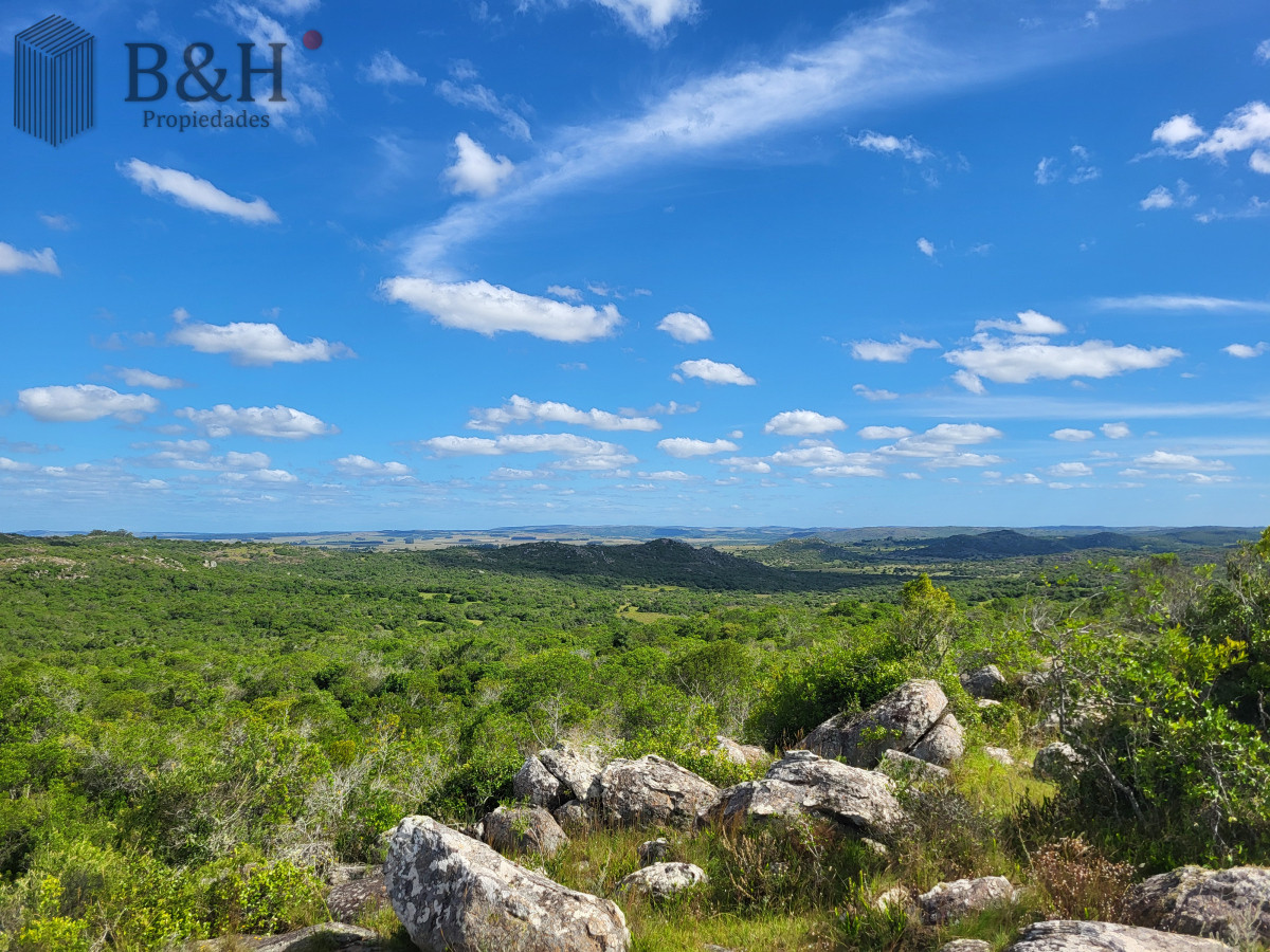 Campo Ref.6497 - VENTA CAMPO 1.037 HECTAREAS SIERRAS DE LAVALLEJA