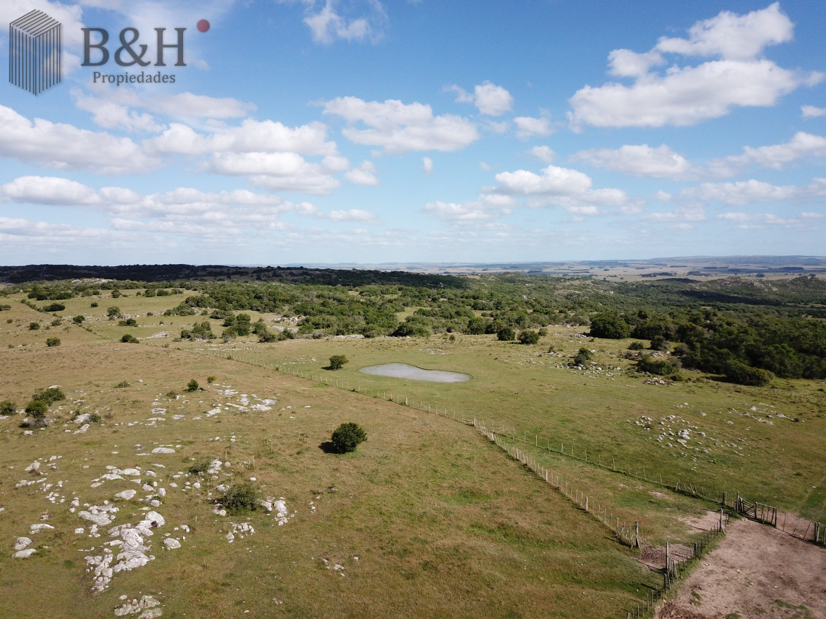 Campo Ref.6497 - VENTA CAMPO 1.037 HECTAREAS SIERRAS DE LAVALLEJA