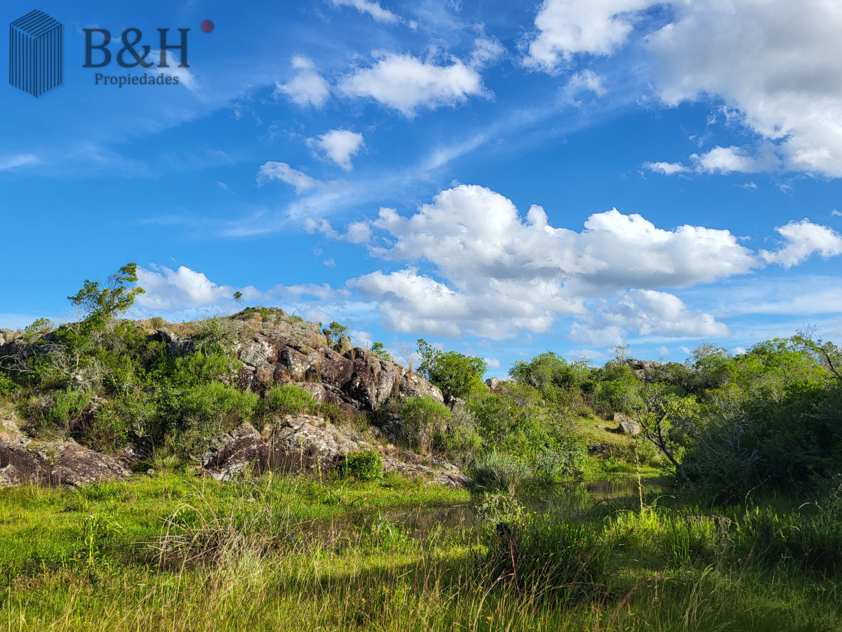 Campo Ref.6497 - VENTA CAMPO 1.037 HECTAREAS SIERRAS DE LAVALLEJA