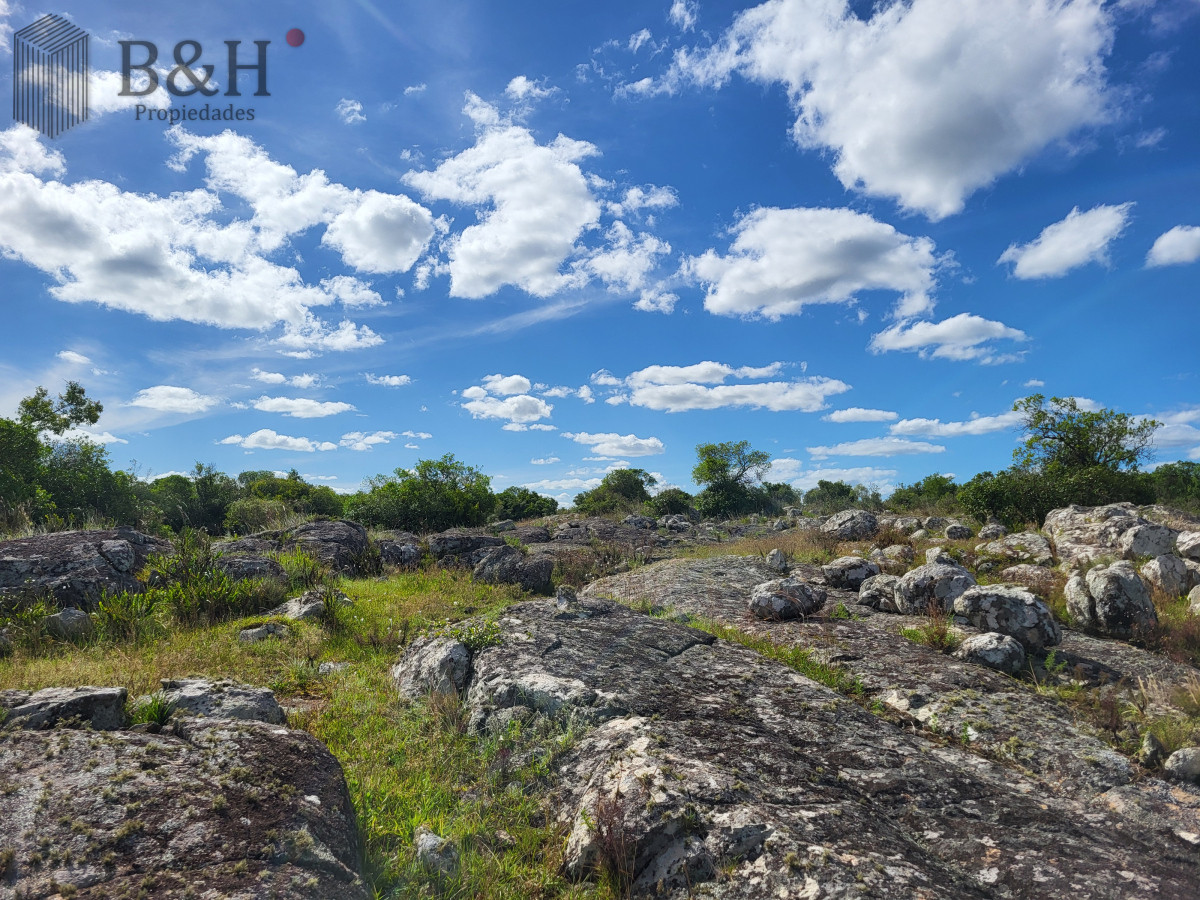 Campo Ref.6497 - VENTA CAMPO 1.037 HECTAREAS SIERRAS DE LAVALLEJA
