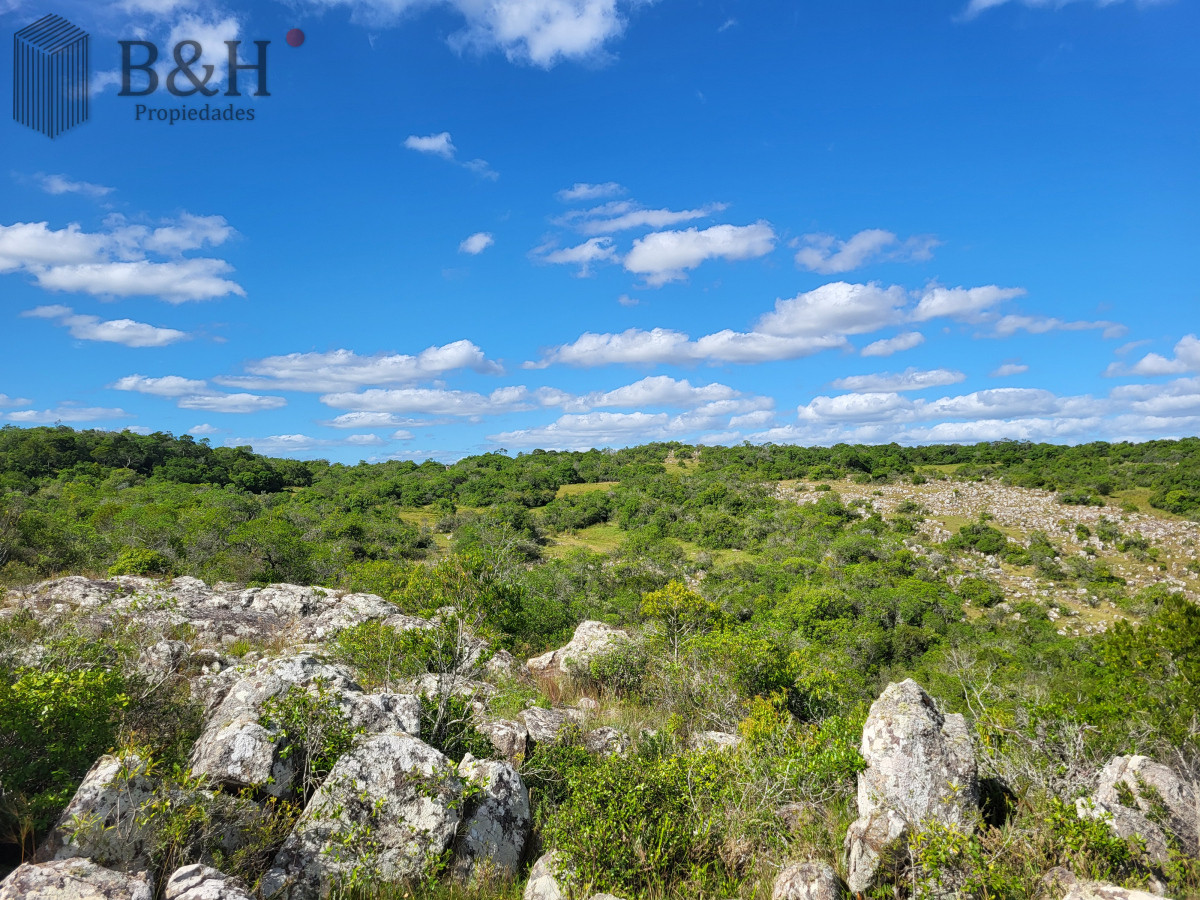 Campo Ref.6497 - VENTA CAMPO 1.037 HECTAREAS SIERRAS DE LAVALLEJA