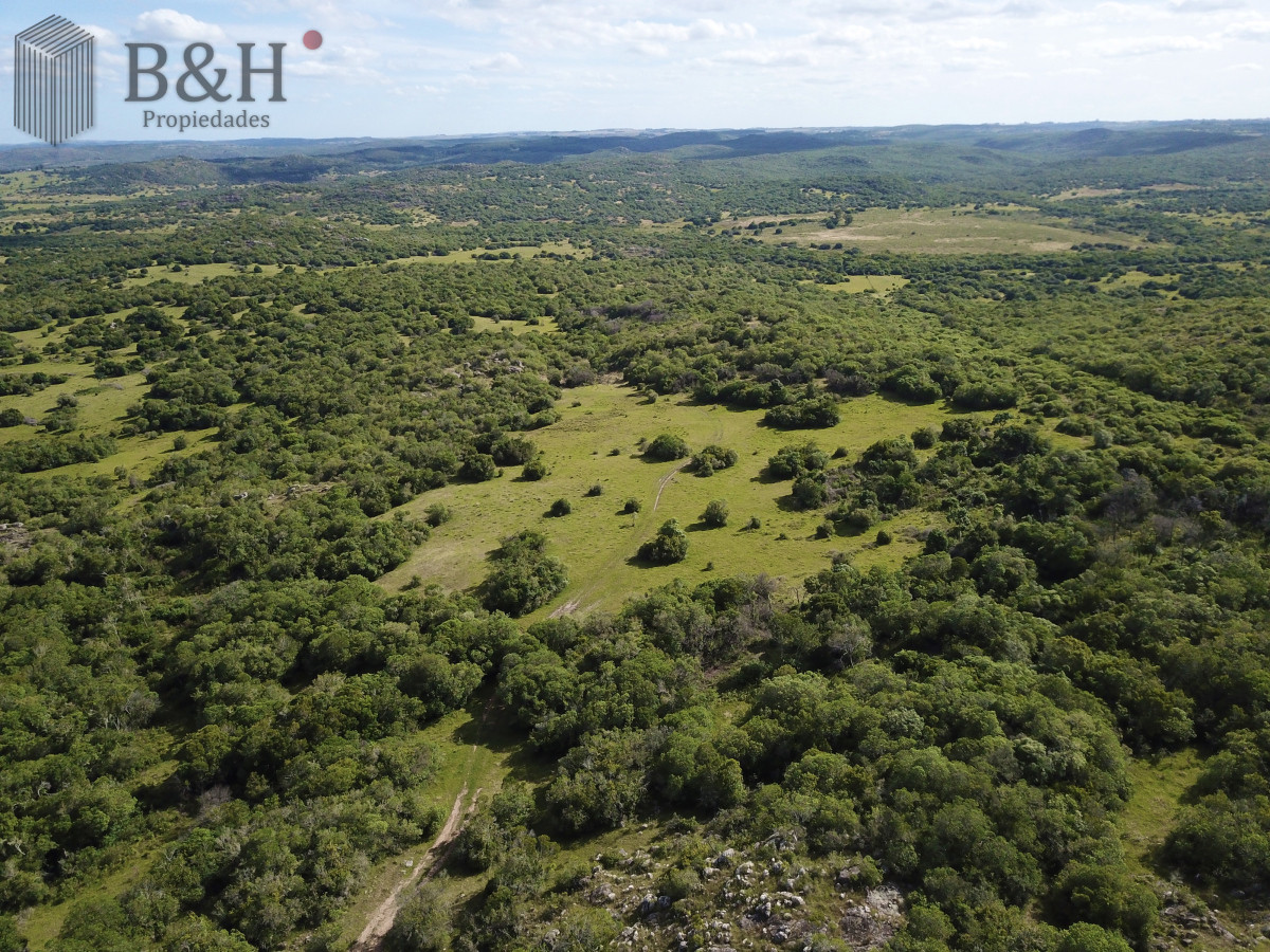 Campo Ref.6497 - VENTA CAMPO 1.037 HECTAREAS SIERRAS DE LAVALLEJA