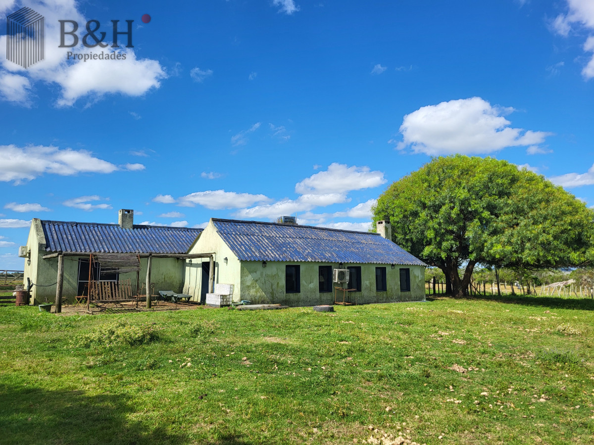 Campo Ref.6497 - VENTA CAMPO 1.037 HECTAREAS SIERRAS DE LAVALLEJA