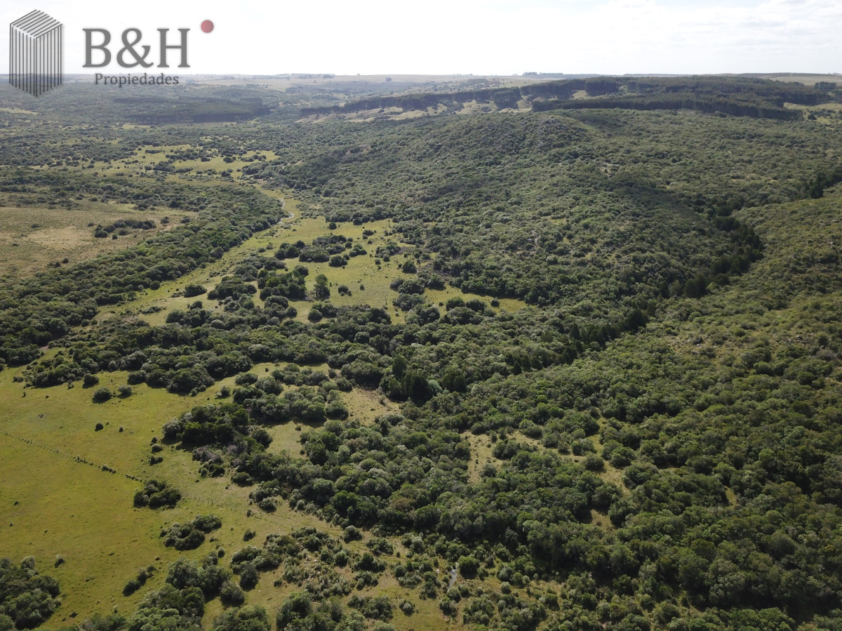 Campo Ref.6497 - VENTA CAMPO 1.037 HECTAREAS SIERRAS DE LAVALLEJA