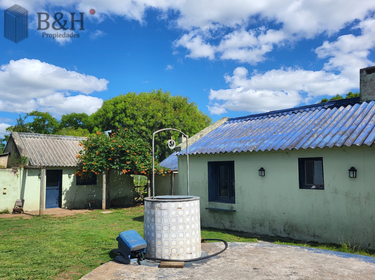 Campo Ref.6497 - VENTA CAMPO 1.037 HECTAREAS SIERRAS DE LAVALLEJA