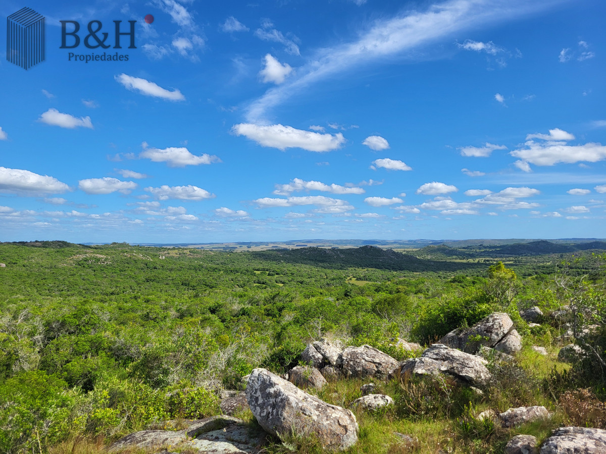 Campo Ref.6497 - VENTA CAMPO 1.037 HECTAREAS SIERRAS DE LAVALLEJA