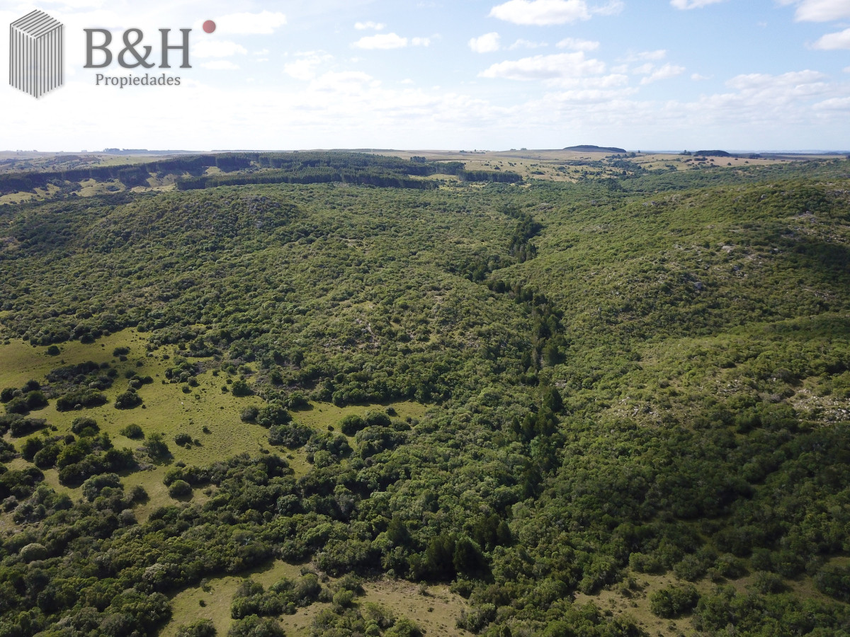 Campo Ref.6497 - VENTA CAMPO 1.037 HECTAREAS SIERRAS DE LAVALLEJA