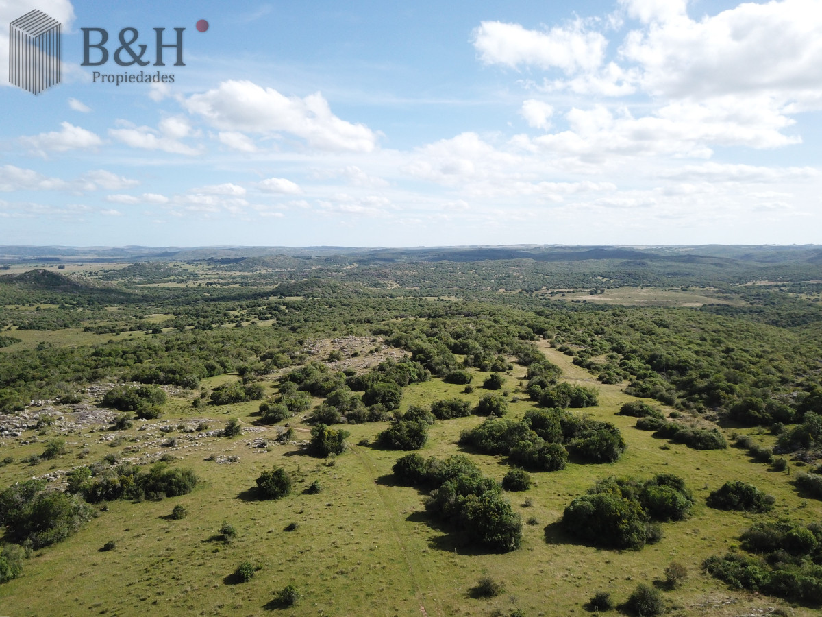 Campo Ref.6497 - VENTA CAMPO 1.037 HECTAREAS SIERRAS DE LAVALLEJA