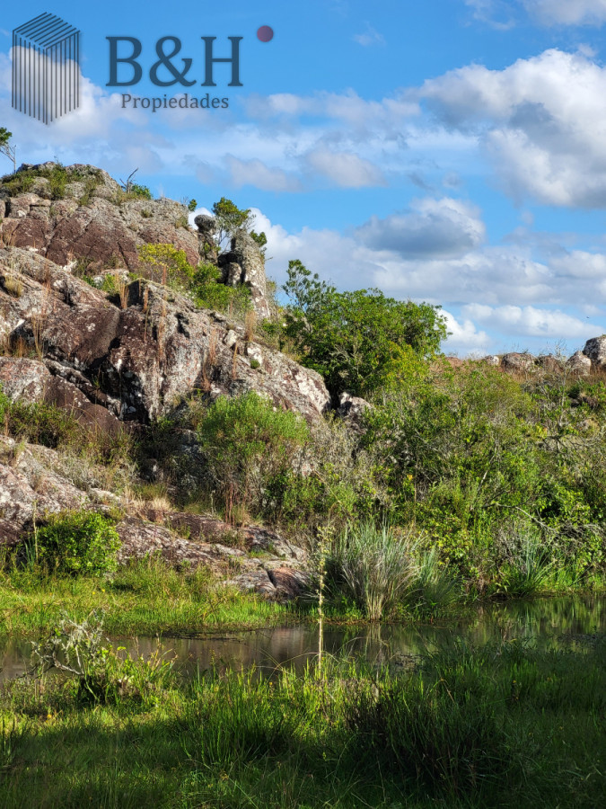 Campo Ref.6497 - VENTA CAMPO 1.037 HECTAREAS SIERRAS DE LAVALLEJA