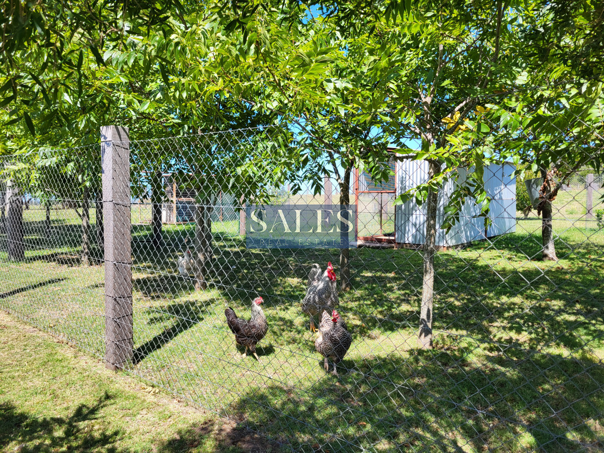 Chacra ID.1225 - CHACRA EN VENTA EN PUEBLO EDÉN 8 HECTÁREAS