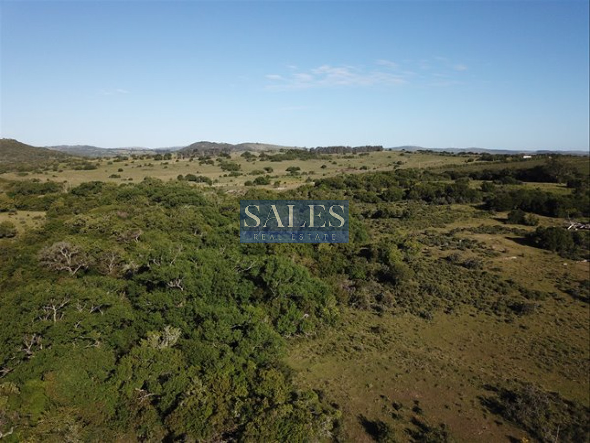 Chacra ID.1324 - Venta Chacra Pueblo Eden - 5 hectáreas