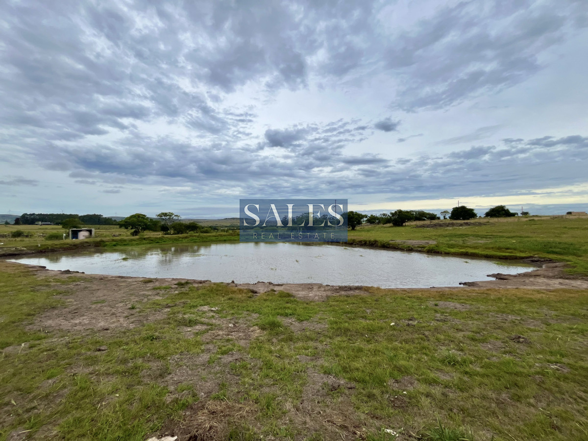 Chacra ID.1323 - Venta chacra Pueblo Edén 5 has - Moderna casa 2 dormitorios