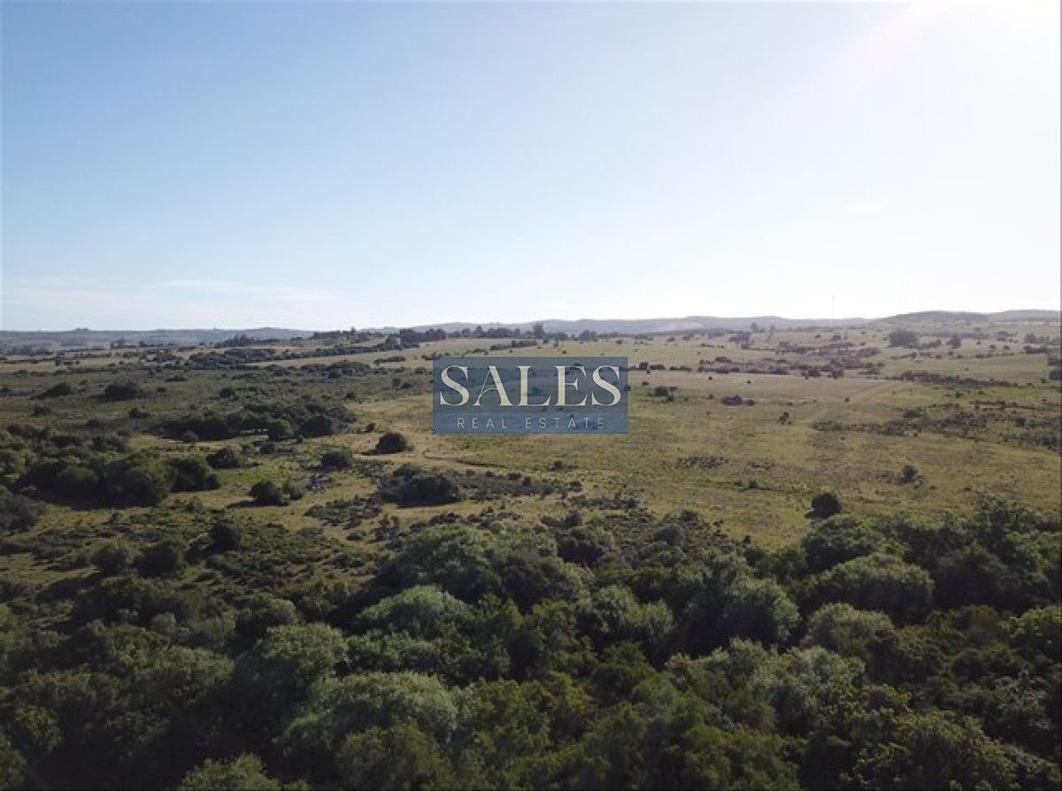 Chacra ID.1324 - Venta Chacra Pueblo Eden - 5 hectáreas