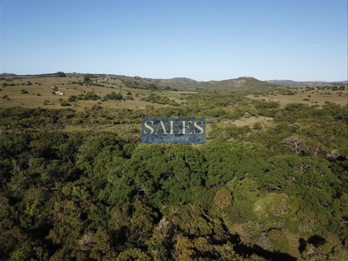 Chacra ID.1324 - Venta Chacra Pueblo Eden - 5 hectáreas