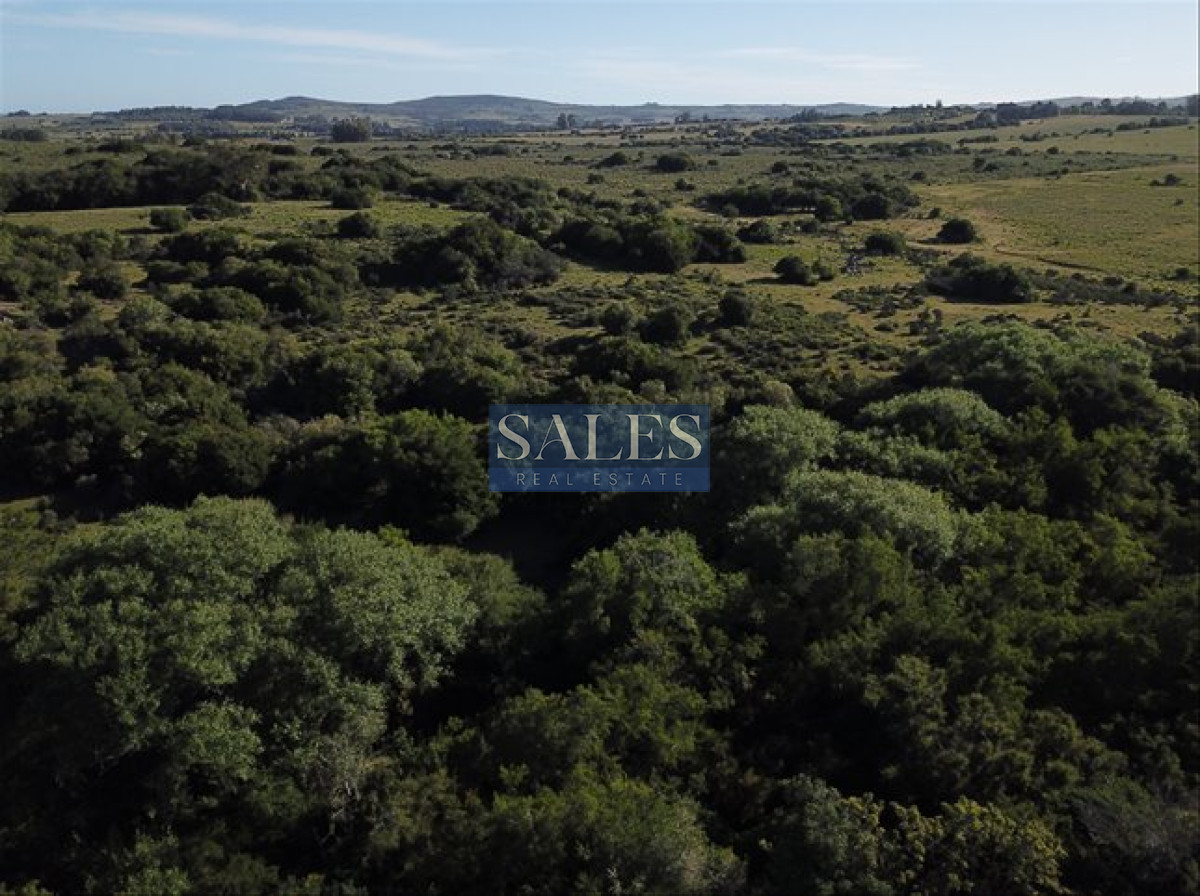 Chacra ID.1324 - Venta Chacra Pueblo Eden - 5 hectáreas