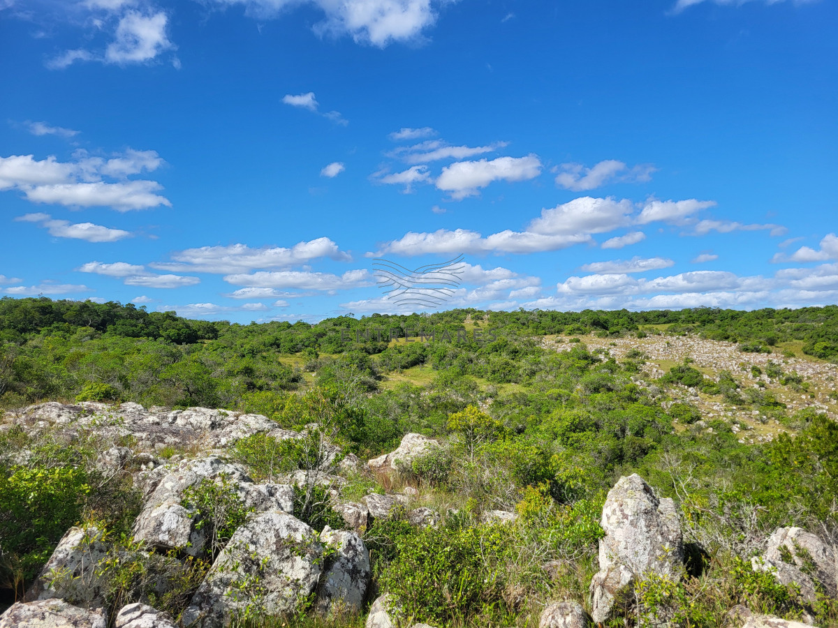 Campo Ref.460 - VENTA CAMPO 1.037 HECTAREAS SIERRAS DE LAVALLEJA