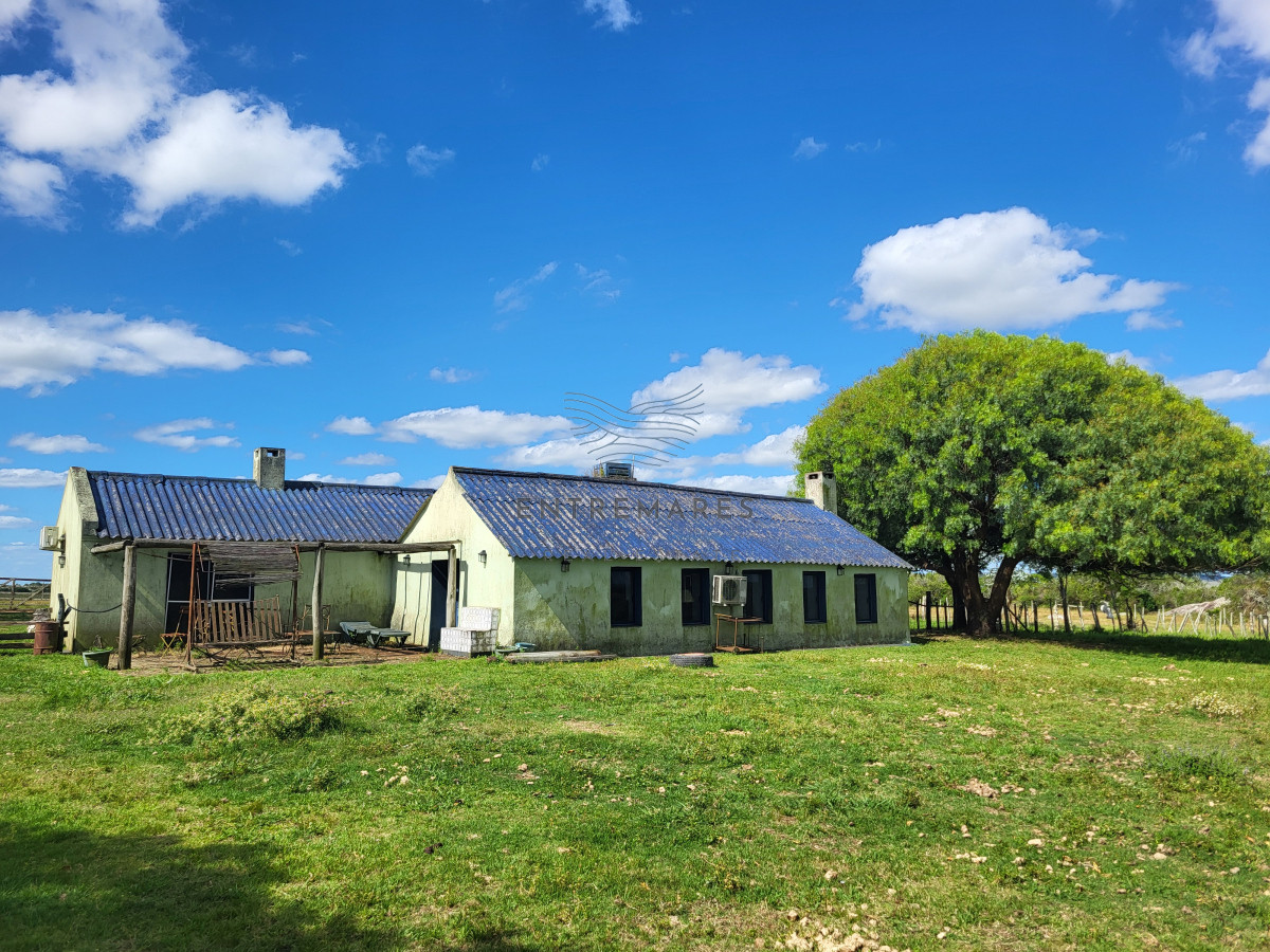 Campo Ref.460 - VENTA CAMPO 1.037 HECTAREAS SIERRAS DE LAVALLEJA