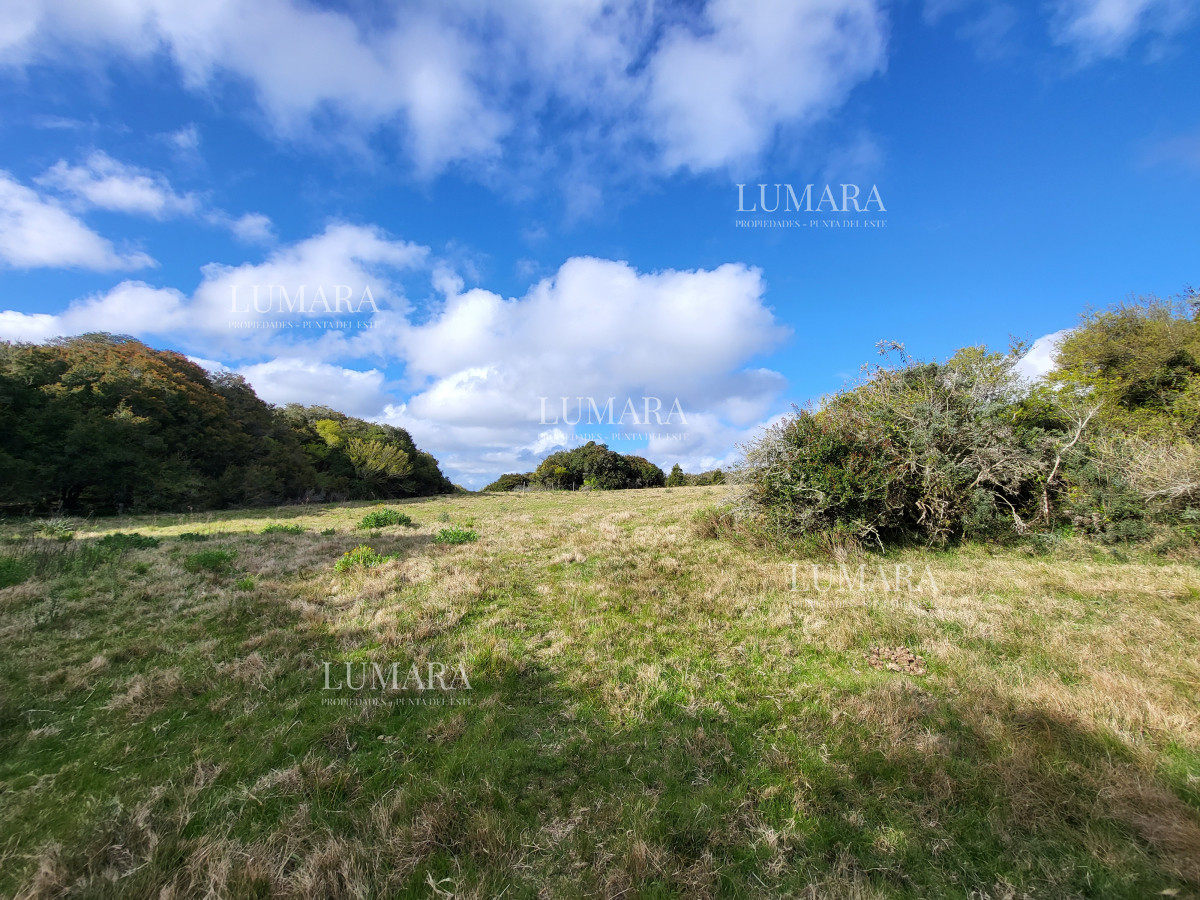 Chacra ID.3079 - CHACRA SOBRE LAGUNA ANASTASIO JOSE IGNACIO PUNTA DEL ESTE