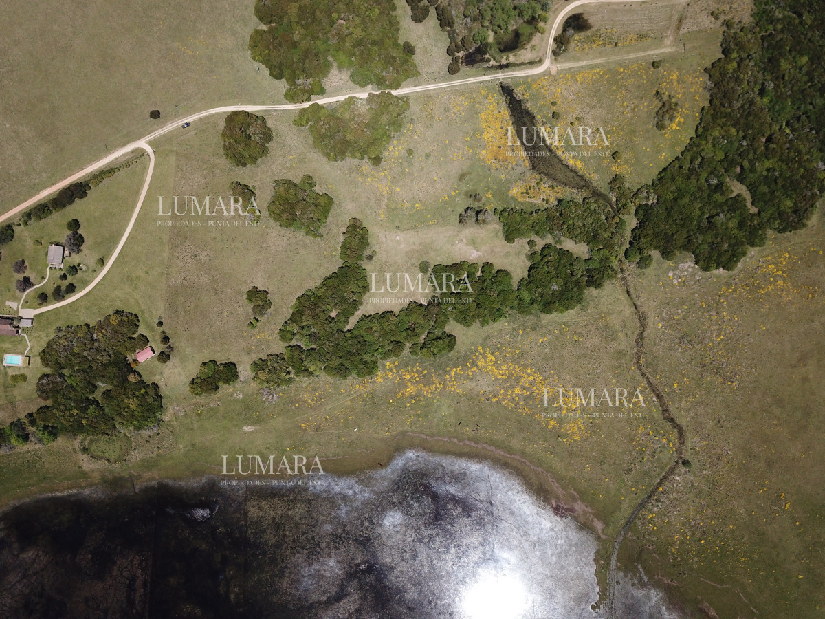 Chacra ID.3079 - CHACRA SOBRE LAGUNA ANASTASIO JOSE IGNACIO PUNTA DEL ESTE