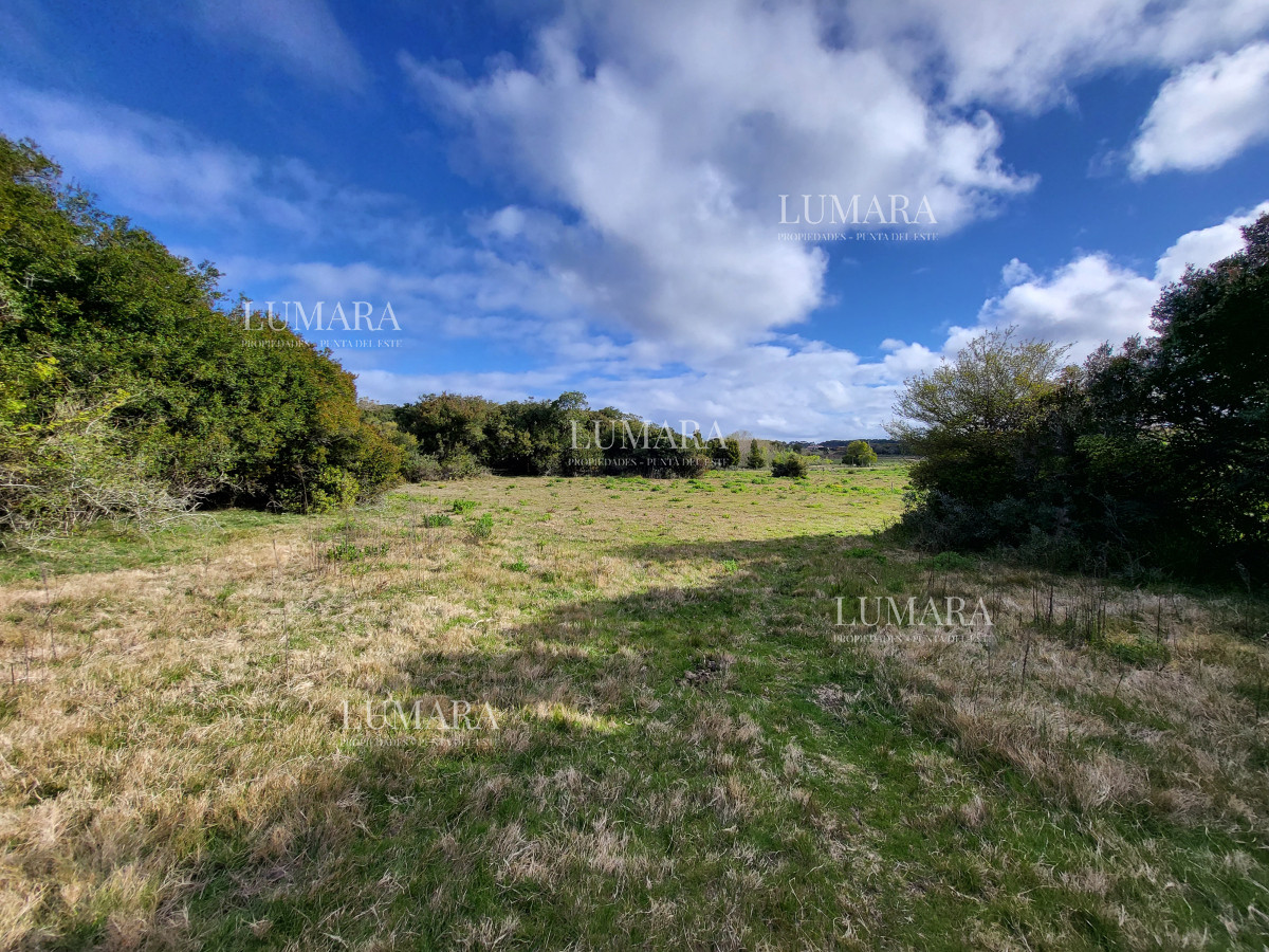 Chacra ID.3079 - CHACRA SOBRE LAGUNA ANASTASIO JOSE IGNACIO PUNTA DEL ESTE