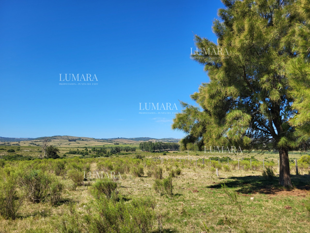 Chacra ID.3072 - Chacras de la Capilla - Pueblo Edén. Punta del Este, Uruguay