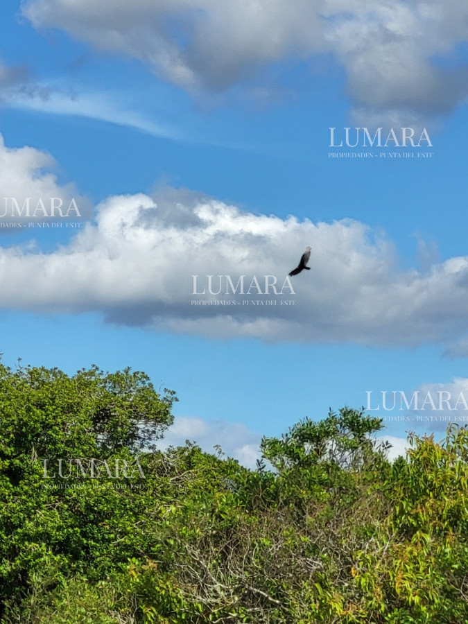Chacra ID.3071 - Chacras de la Capilla - Pueblo Edén. Punta del Este, Uruguay