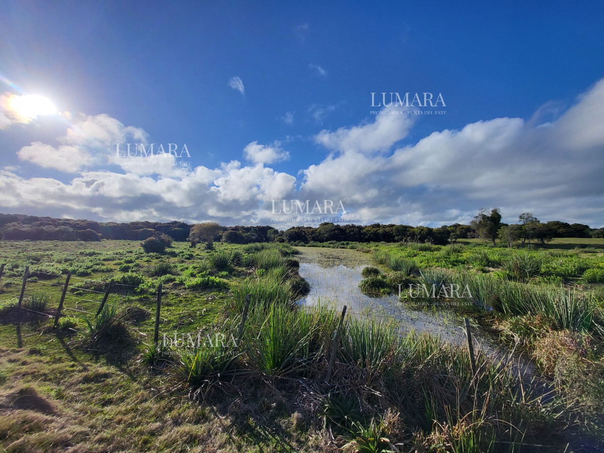 Chacra ID.3079 - CHACRA SOBRE LAGUNA ANASTASIO JOSE IGNACIO PUNTA DEL ESTE