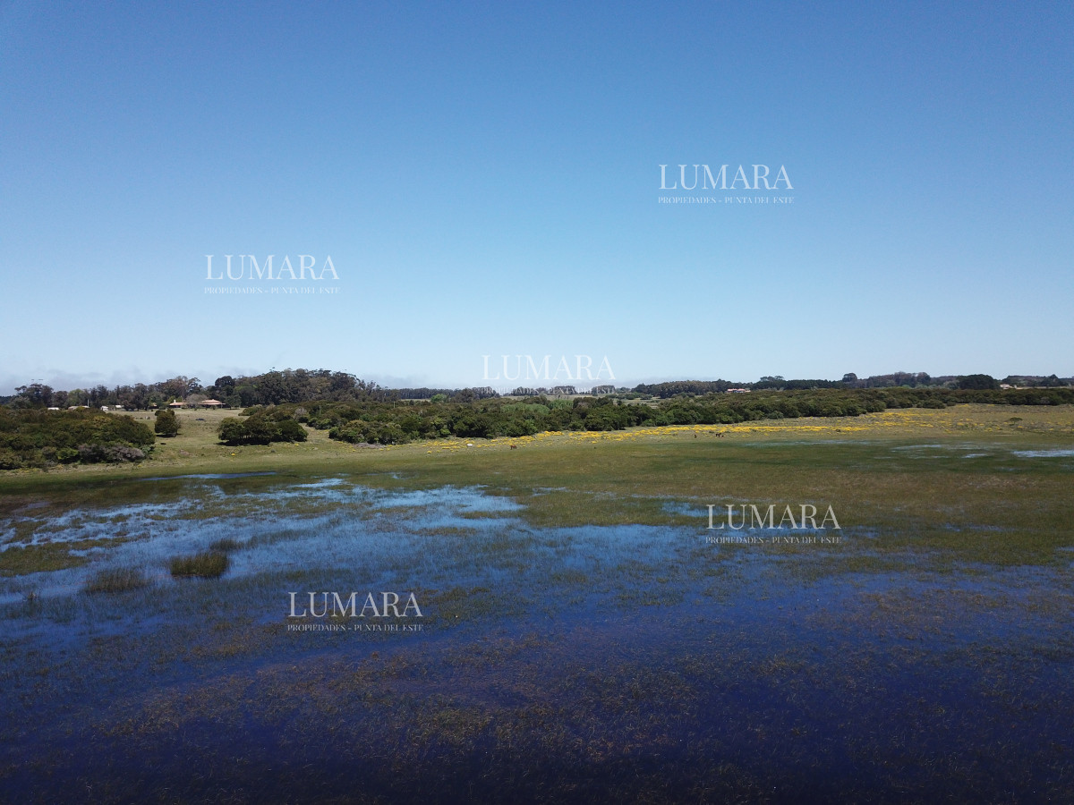 Chacra ID.3079 - CHACRA SOBRE LAGUNA ANASTASIO JOSE IGNACIO PUNTA DEL ESTE