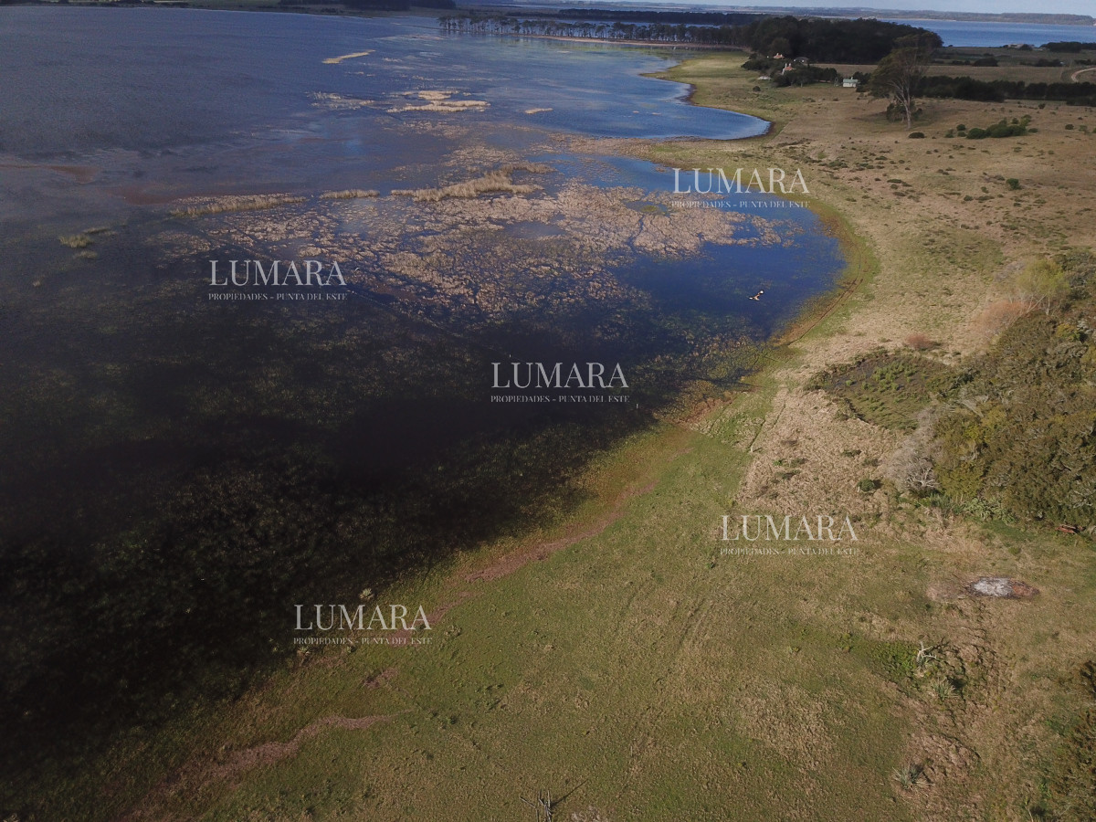 Chacra ID.3079 - CHACRA SOBRE LAGUNA ANASTASIO JOSE IGNACIO PUNTA DEL ESTE