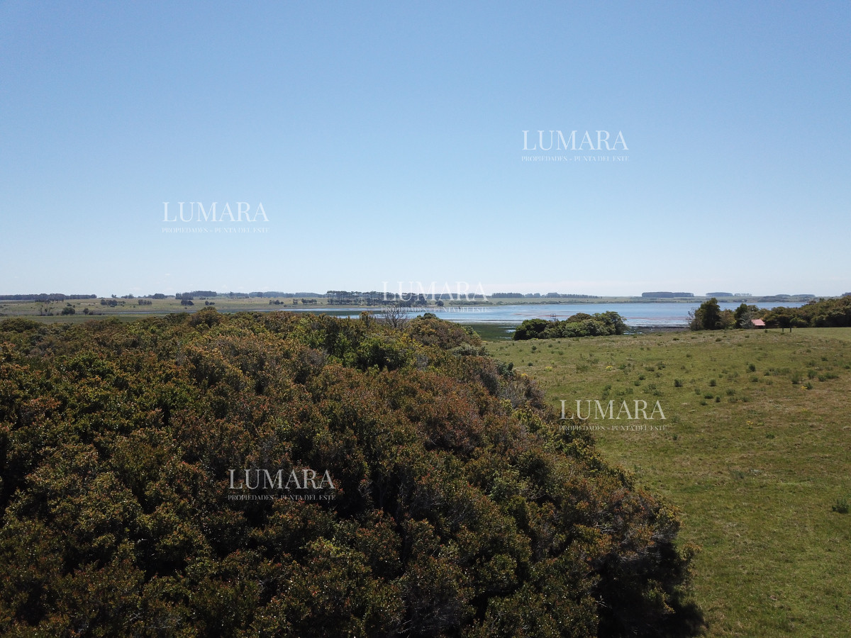 Chacra ID.3079 - CHACRA SOBRE LAGUNA ANASTASIO JOSE IGNACIO PUNTA DEL ESTE