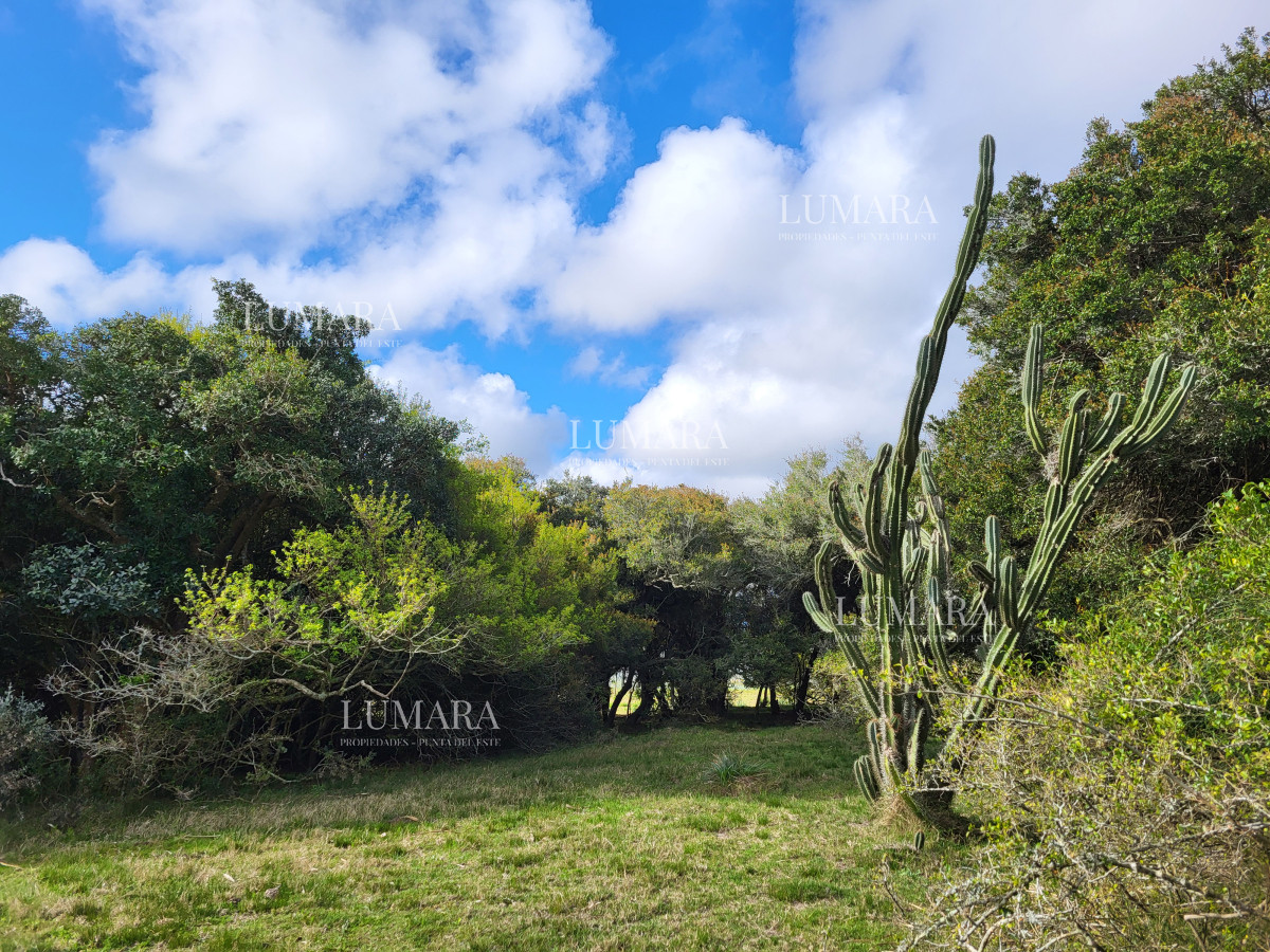 Chacra ID.3079 - CHACRA SOBRE LAGUNA ANASTASIO JOSE IGNACIO PUNTA DEL ESTE