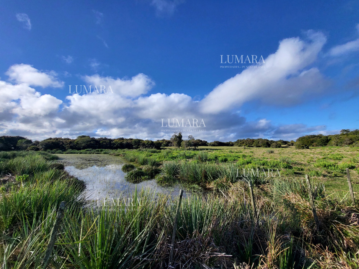 Chacra ID.3079 - CHACRA SOBRE LAGUNA ANASTASIO JOSE IGNACIO PUNTA DEL ESTE