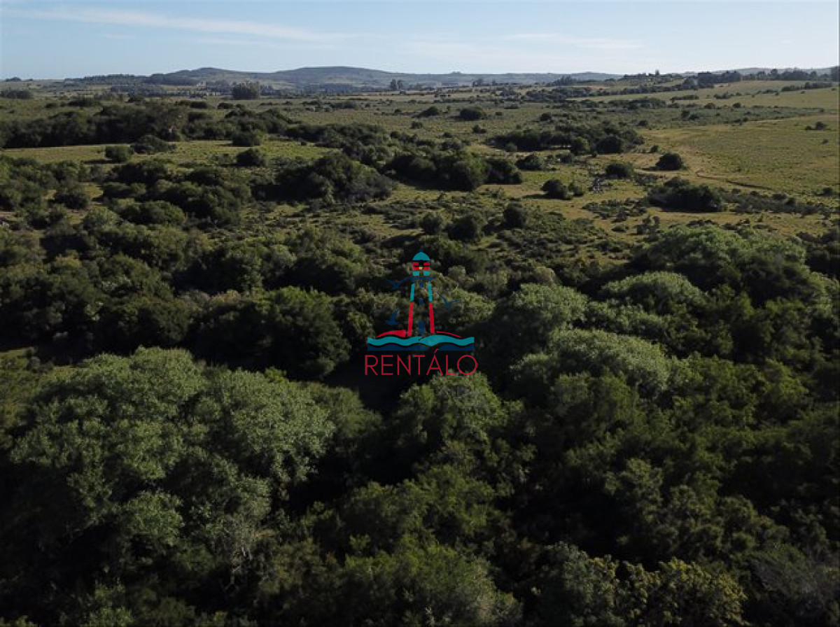 Chacra ID.199 - Venta Chacra Pueblo Eden - 5 hectáreas