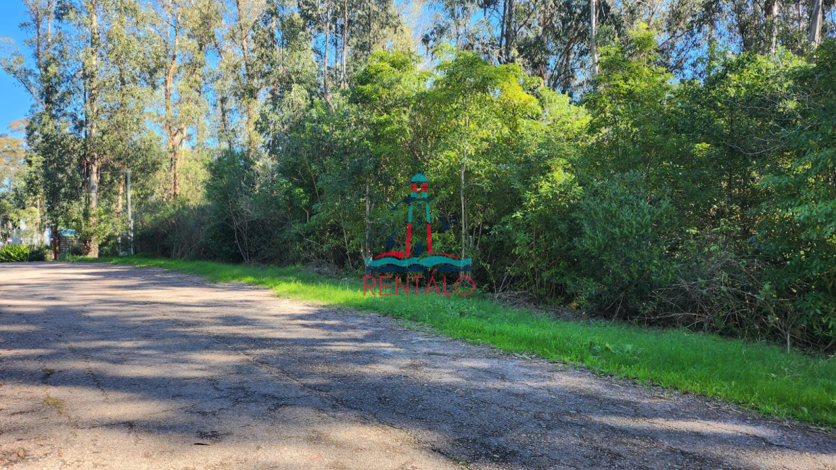 Terreno ID.195 - Venta Terreno Punta Ballena, Las cumbres - 4200m2