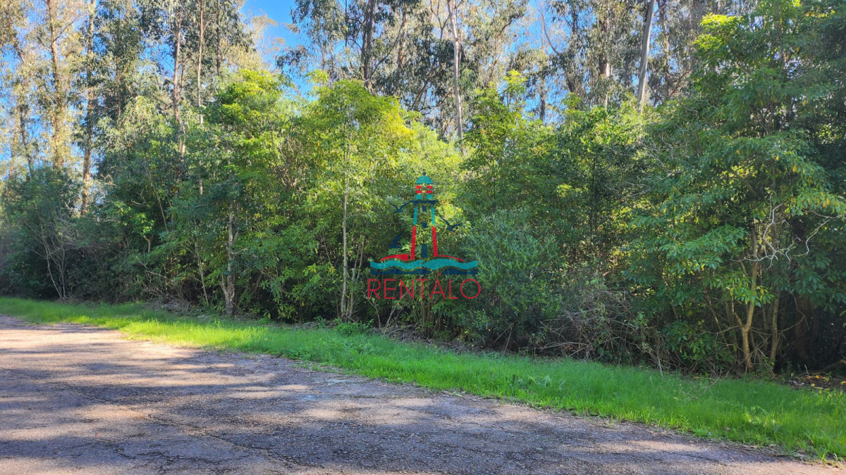 Terreno ID.195 - Venta Terreno Punta Ballena, Las cumbres - 4200m2