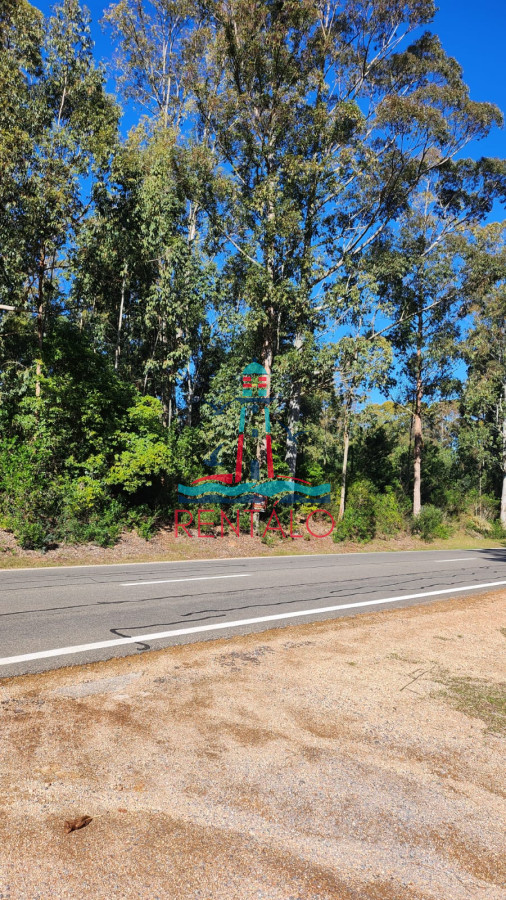 Terreno ID.195 - Venta Terreno Punta Ballena, Las cumbres - 4200m2